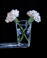 Carnations- Oils on panel 10 x 8 inches