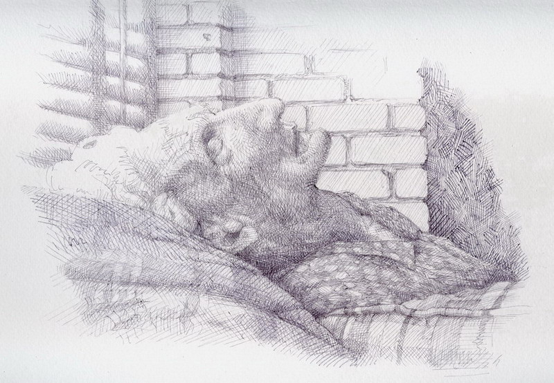 Drawing, ball-point pen on watercolour paper. I liked the light in this scene of an old woman sleeping so well, that I paused the DVD I was watching & drew it! 