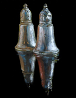 Silver Salt & pepper shakers- Oils on panel 10 x 8 inches