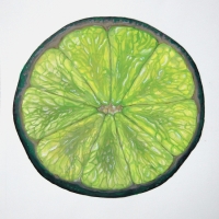 Lime slice. Oils on paper 25 x 25 cm
