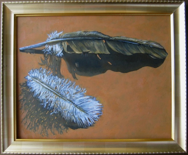 Feathers, oils on board