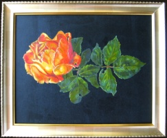 Rose, oils on board. 8 x 10 inches (20 x 26 cm)